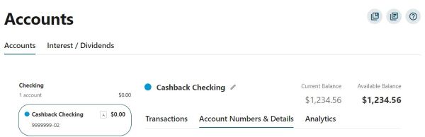 A screenshot of the "Account Numbers & Details" menu in Advantis Online Banking.